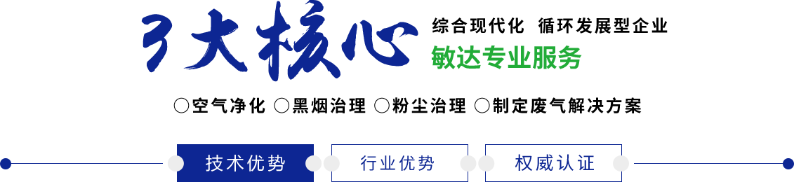 啊啊啪啪我小穴好痒快插进来日本视频敏达环保科技（嘉兴）有限公司